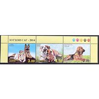 Таджикистан 2014  . Фауна. Собаки. Сцепка из 3 марок