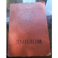 Диплом Бобруйск ПТУ 95
