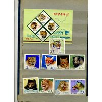 КНДР, 1974,КОШАЧЬИ,  серия 9м + блок , гашен