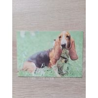 Календарик,1993