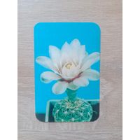 Календарик 1990