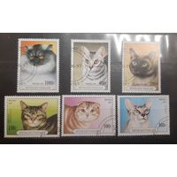 Того. 1997 год. Фауна. Кошки (748)