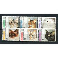 Бенин - 1995 - Кошки - [Mi. 668-673] - полная серия - 6 марок. MNH.  (Лот 68HJ)-T41P51