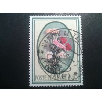 Италия, 1966. Цветы