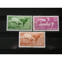 Испанская Сахара 1962 Овцы, козы