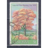 [858] Малави 1979. Флора.Деревья. Гашеная марка.