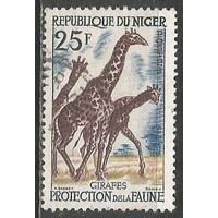 Нигер(Республика). Жираф. 1959г. Mi#7.