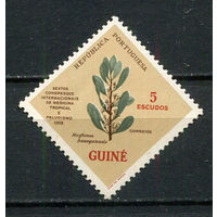 Португальские колонии - Гвинея - 1958 - Флора - [Mi. 295] - полная серия - 1 марка. MNH.  (Лот 50HS)-TG3P11