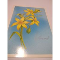 Открытка 1987г., чистая. Художник А. Белоусов.