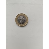 1 фунт 2016 год.