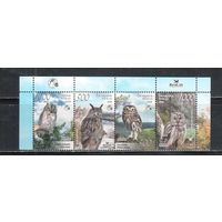 Беларусь-2008,(Мих.750-753) **  , Фауна, Птицы, Совы