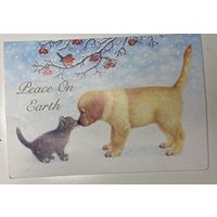 Открытка Мир на земле