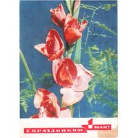 Почтовая карточка СССР 1970, подписана.  Фото И. Дергилева