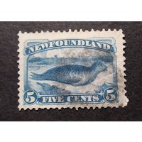 Великобритания\136в\ Ньюфаундленд  1880 SG48 фауна тюлень