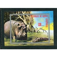 Экваториальная Гвинея. Фауна. Бегемот. Блок