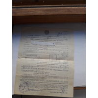 Страховое свидетельство Госстрах БССР форма 136 (1978)