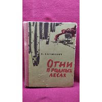 Е.Г. Акушевич. Огни в родных лесах