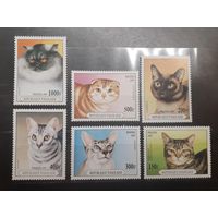Того. 1997 год. Фауна. Кошки (749)