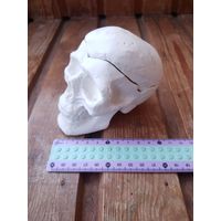 Лот С 1 РУБЛЯ, без МЦ! много лотов! Гипсовая шкатулка череп небольшая под декор роспись