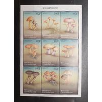 Центральная Африка. Флора. Грибы. Блок (1021)