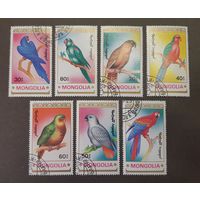Распродажа с 1 рубля! Фауна. Монголия. 1990 год. Птицы. Попугаи (7 марок)