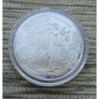 Werty71 Беларусь 1 рубль 2017 Лапчатка скальная Возрожденные растения Дубровка скальная
