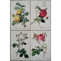 Розы. Иллюстрации Пьера-Жозефа Редуте. 4 шт. Издатель. В.Соколов. Россия. 2018 г.