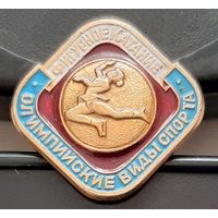 Слалом. Фигурное катание. Бд-37