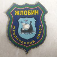 Нарукавный знак. Жлобин. Юридический класс. Разновидность по штампу, окрасу.