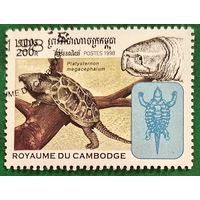 Камбоджи 1998. Большеголовая черепаха