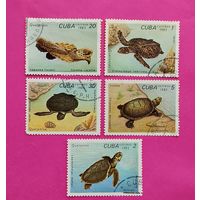 Куба. Черепахи. ( 5 марок ) 1983 года. 3-5.