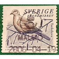 Швеция 2004. Кольчатая горлица