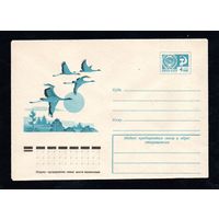 Художественный маркированный конверт СССР N 11005 (23.12.1975) Рисунок летящих журавлей