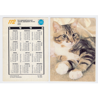 Календарь кот домашний N112 1993