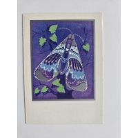 Величкина 1987 мини Поздравляем