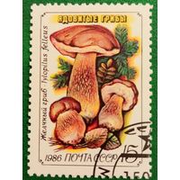 СССР 1986. Ядовитые грибы. Желчный гриб