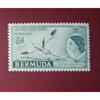 Бермуды** Птица Королевский визит 1953  без наклеек и их следов полная серия
