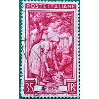 Италия 1950. Сборщики оливок