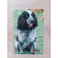 Календарик 1991