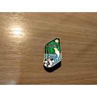 ФК Динамо Батуми