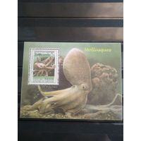 Камбоджа. 1999г. Морская фауна.