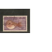 Новые Гибриды(Великобритания)-1963 (Мих.201) , гаш. , Морская фауна, Раковины