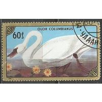 Монголия. Птицы. Тундровый лебедь. 1987г. Mi#1809.