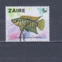 [6] Заир 1978. Фауна.Рыба.5 к. Гашеная марка.