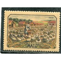 СССР 1956. Сельское хозяйство. Птицеводство