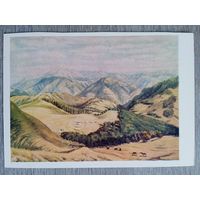 1956. Манайло. Гуцульские полонини