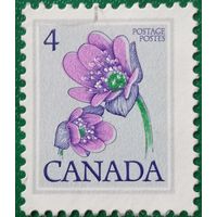 Канада. Флора. Цветы