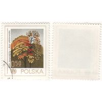 Польша 1978.09.06 (Mi)PL2569 марка из сер.Охрана природы - деревья - 0,50zl Клён норвежский (Acer plantanoides) (г) (a1-07 ТОРГ/ВАША ЦЕНА