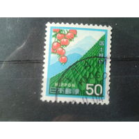 Япония, 1980. Лесовосстановление
