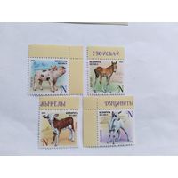 Беларусь  2024  4 м детен.дом.животных
